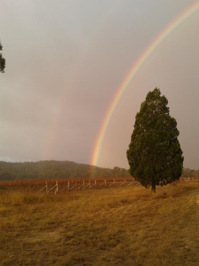 Whiskey Gully Wines Villa Stanthorpe Bagian luar foto